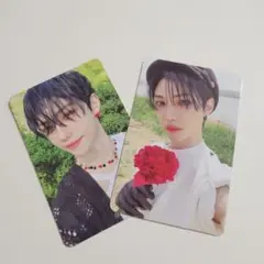 straykids MAXIDENT 2枚セット売り フィリックス