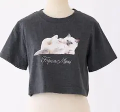 新品　ナイスクラップ 猫プリント クロップTシャツ ダークグレー