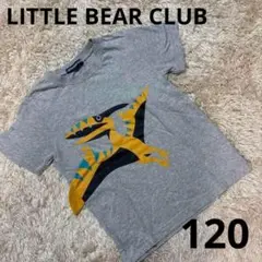 TITLE BEAR CLUB 恐竜Tシャツ プテラノドン 男の子 120 半袖