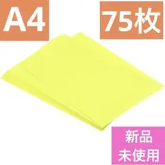 Item thumbnail for item 67e1e98b-466f-4d85-8319-8663ab0764a8