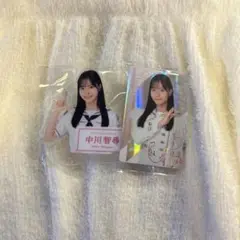 Item thumbnail for item 1822a611-0c65-4004-b3df-bec838d9c420