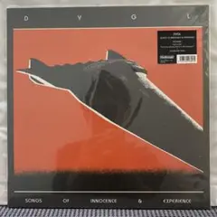 DYGL LP レコード 2025年最新】dygl レコードの人気アイテム - メルカリ