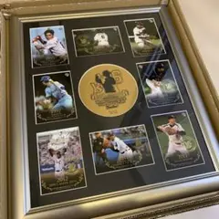 東京ヤクルトスワローズ　宮本慎也　引退記念パネル　新品未使用