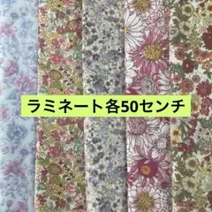 ⭐️大処分祭Gセット　ラミネート生地　選べません　同封不可