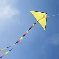 Item thumbnail for item 39738d8f-c53e-47b2-8815-65fdcb7c3922