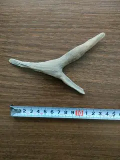 Item thumbnail for item a3fdc6d5-59e5-4282-ad5b-2af240cef157