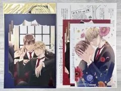 左藤さなゆき『プリフェクトの熾火』購入特典セット