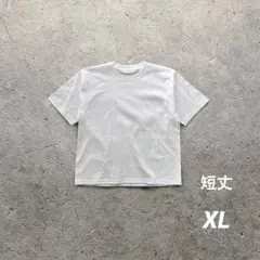 ショート丈Tシャツ USストリート archive コンパクト 白T XL
