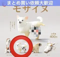 ★早い者勝ち！　送料込み　新品未使用　モザイヌ　チワワ　1個