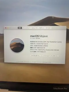 13インチ 2019 8GB 128GB MacBookPro