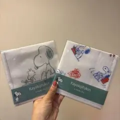 Item thumbnail for item 975243d8-78bc-4a69-84e5-91e3b5af43ad