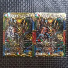 禁断竜王 Vol-Val-8　2枚セット　volval8　ボルバル8　⑤