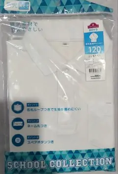 Item thumbnail for item 66fc8133-e3a5-4acb-b6c2-c9de82296074