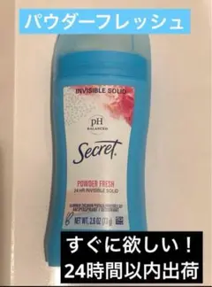 【73g】パウダーフレッシュ固形制汗剤デオドラントスティック24時間発送