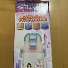 ロック付きワンプッシュ　ダイレクトボトル580ml ディズニー　プリンセス