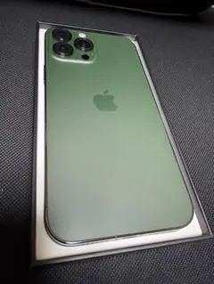 iPhone 13 Pro Max 256gb