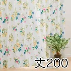ニトリ NITORI 遮熱 遮光 カーテン レモンフラワー 花 丈200