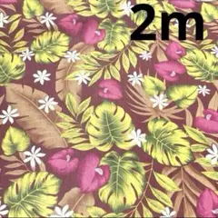 【特価】最終SALE★ラスト5枚★ポリシーチング★ハイビスカス★レッド★