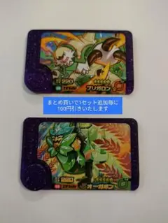 【期間限定格安セット】ブリガロン　オーガポン　ポケモンフレンダセット