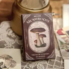 ✳︎ヴィンテージ風の小さな豆本✳︎スクラップ素材集✳︎mushroom✳︎