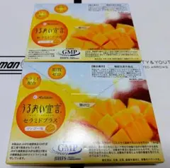 Item thumbnail for item d445872e-db6f-4ada-b525-848c7cb96fef