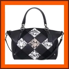 2WAY ブラック×マルチ コーチ COACH 斜めがけ ショルダーバッグ