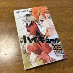 ハイキュー!! 33.5 特別版