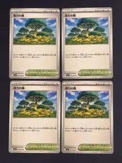 活力の森 メガシンフォニア ポケモンカード