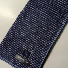 Item thumbnail for item 8fa96a73-7fb5-405f-91e7-c3948439b4a1