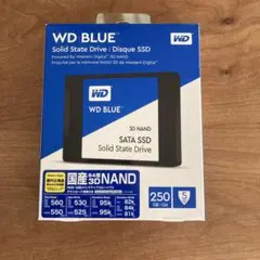 新品未使用　WD BLUE 250GB 3D NAND SATA SSD