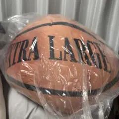 Item thumbnail for item 16d7af5b-a170-48f2-893f-237267949e7f