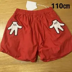 Item thumbnail for item 12128405-e774-48cd-b3d6-fa82bd0b5f6e