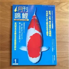 鱗光 月刊錦鯉 日鱗 52冊セット まとめ売り 錦鯉 鱗光 2024年02月15日発売号 | 雑誌/定期購読の予約はFujisan