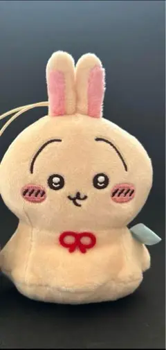ちいかわ うさぎ ウラヤハボウズ