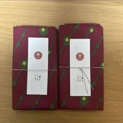 Item thumbnail for item 7e027006-f0b4-4005-9fc9-af3498432046