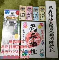 東京港区新橋烏森神社ご朱印☆新年お正月限定御朱印お守り御由緒非売品御札付き