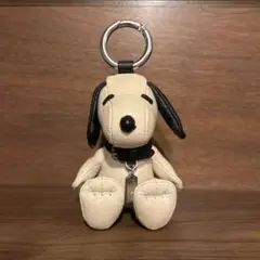 2025年最新】スヌーピー coach ぬいぐるみの人気アイテム - メルカリ