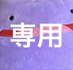 専用
