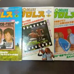 デラックスプロレス1980年10月・11月・12月号セット