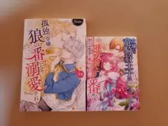 小説2冊セット　マーマレード文庫　ノーチェ　アルファポリス