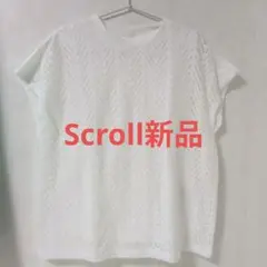 レディースカットソー　スクロールカットソー　Scrollカットソー　白シャツ