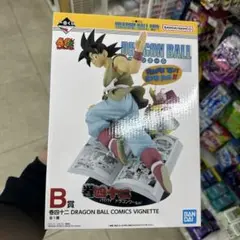 Item thumbnail for item d5a1d4e0-8e09-4cf1-94e9-5391e9e79414