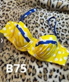 Item thumbnail for item 49bec68b-3e1e-404a-bc90-ec3513a10d94