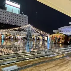 専用