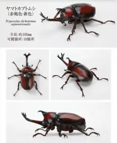 いきもの大図鑑かぶとむし09 ヤマトカブトムシ　カプセル版