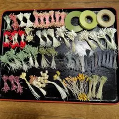 ペップ56束(ワイヤーペップ、バラペップ他)　沢山入れました。