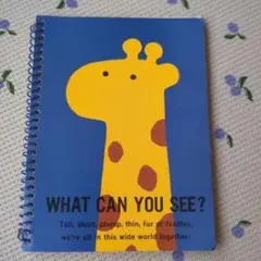 WHAT CAN YOU