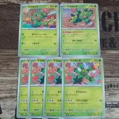 マラカッチ