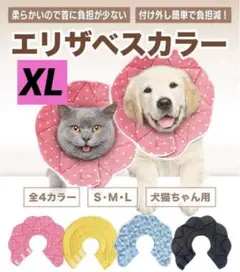Item thumbnail for item e7b7dde1-aa9e-4086-bb32-c6830aad1e28