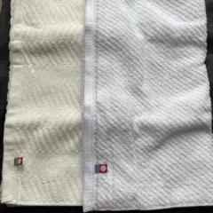Item thumbnail for item f5fa4f44-ea36-4a5f-aa45-ac82d6efbf2c